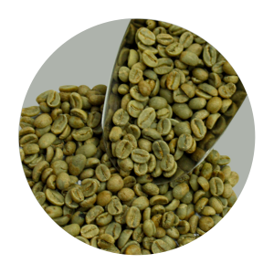 BALI KINTAMANI FULL WASHED ARABICA GR1 TP