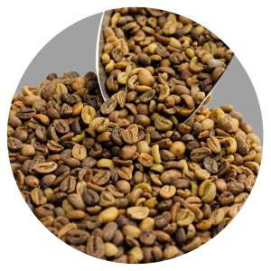 GAYO ANGGUR GR1 TP