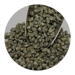 GAYO ARABICA GR1 TP