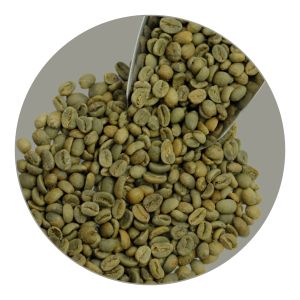GAYO FULLWASHED ARABICA GR1 TP