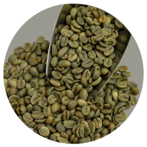 GAYO HONEY ARABICA GR1 TP