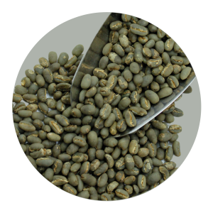 GAYO PEABERRY GR1 TP