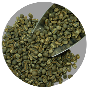 KARO ARABICA GRADE 1 TP