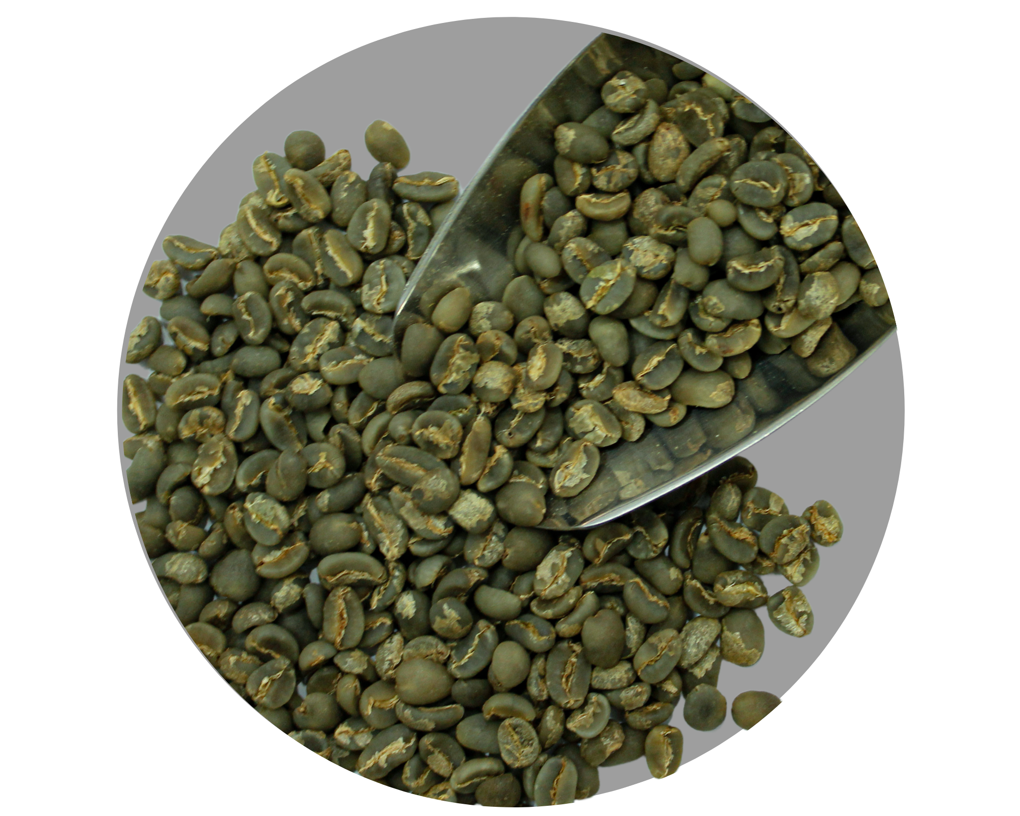 KARO ARABICA GRADE 1 TP