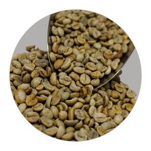 KERINCI HONEY GR1 TP