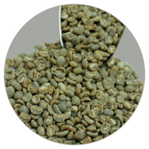 KERINCI KAYU ARO ARABICA GRADE 1 TP