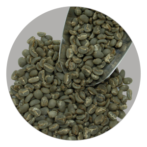 LINTONG ARABICA GRADE 1 TP