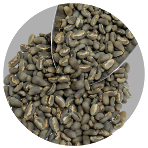 GAYO LONGBERRY ARABICA GR1 TP