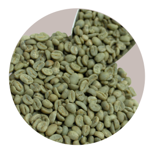 GAYO LUWAK WILD GR1 TP