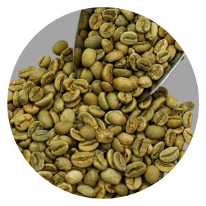 PAPUA WAMENA ARABICA GR1 TP