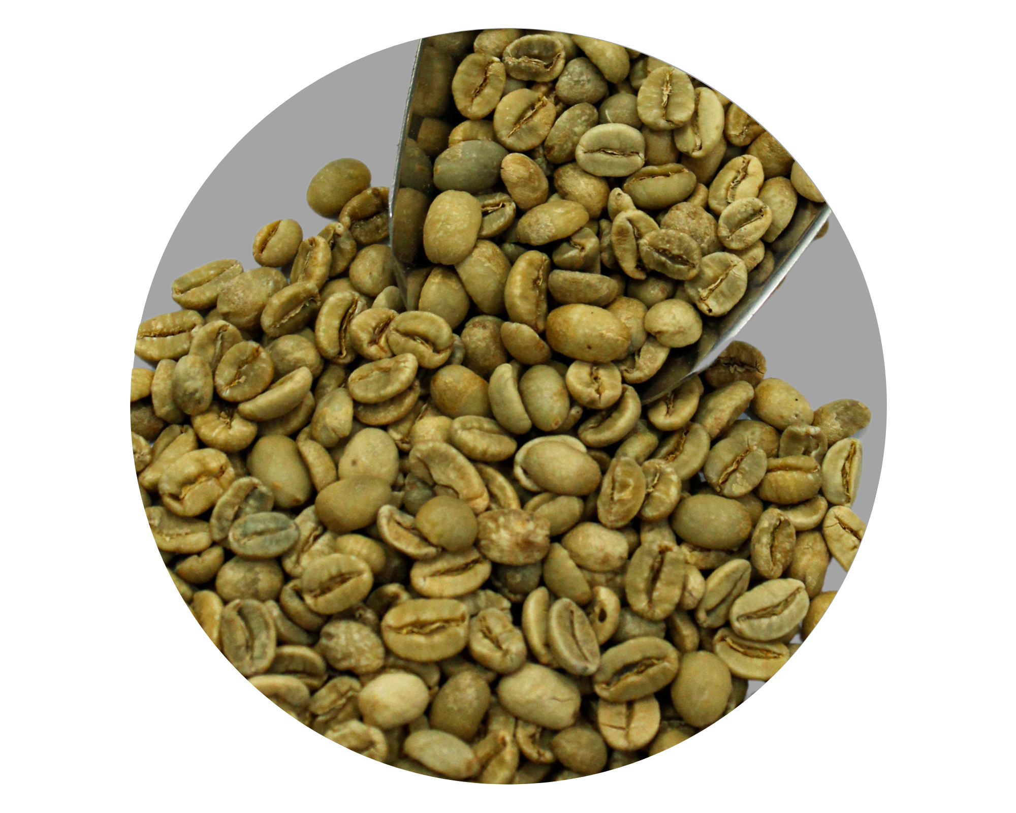 PAPUA WAMENA ARABICA GR1 TP