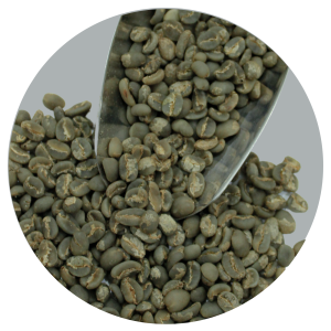 TORAJA ARABICA GRADE 1 TP